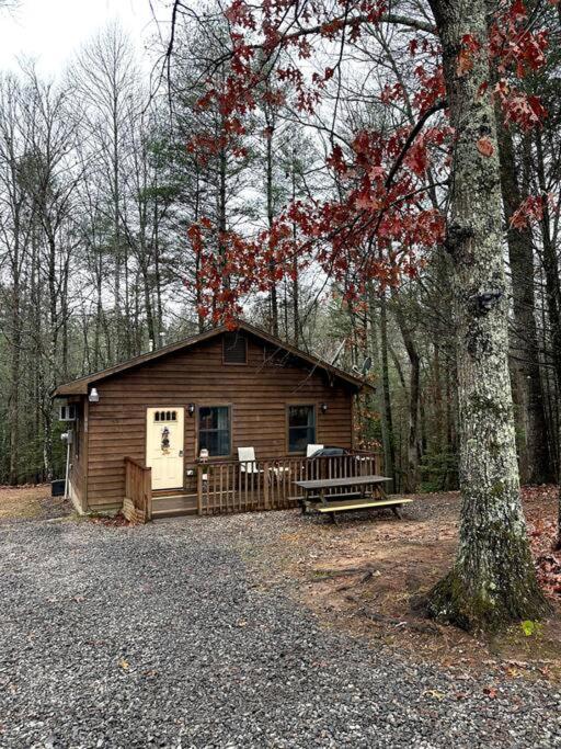 Private Cozy Cabin In The Woods With Great View Murphy Dış mekan fotoğraf