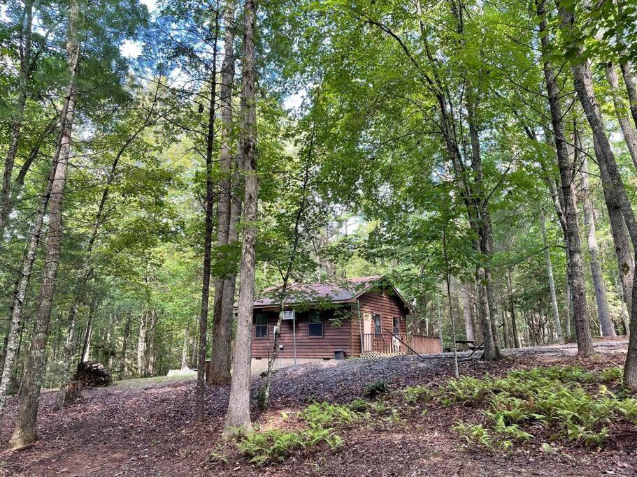 Private Cozy Cabin In The Woods With Great View Murphy Dış mekan fotoğraf