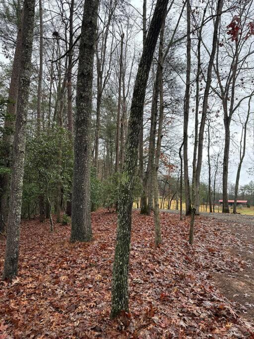 Private Cozy Cabin In The Woods With Great View Murphy Dış mekan fotoğraf